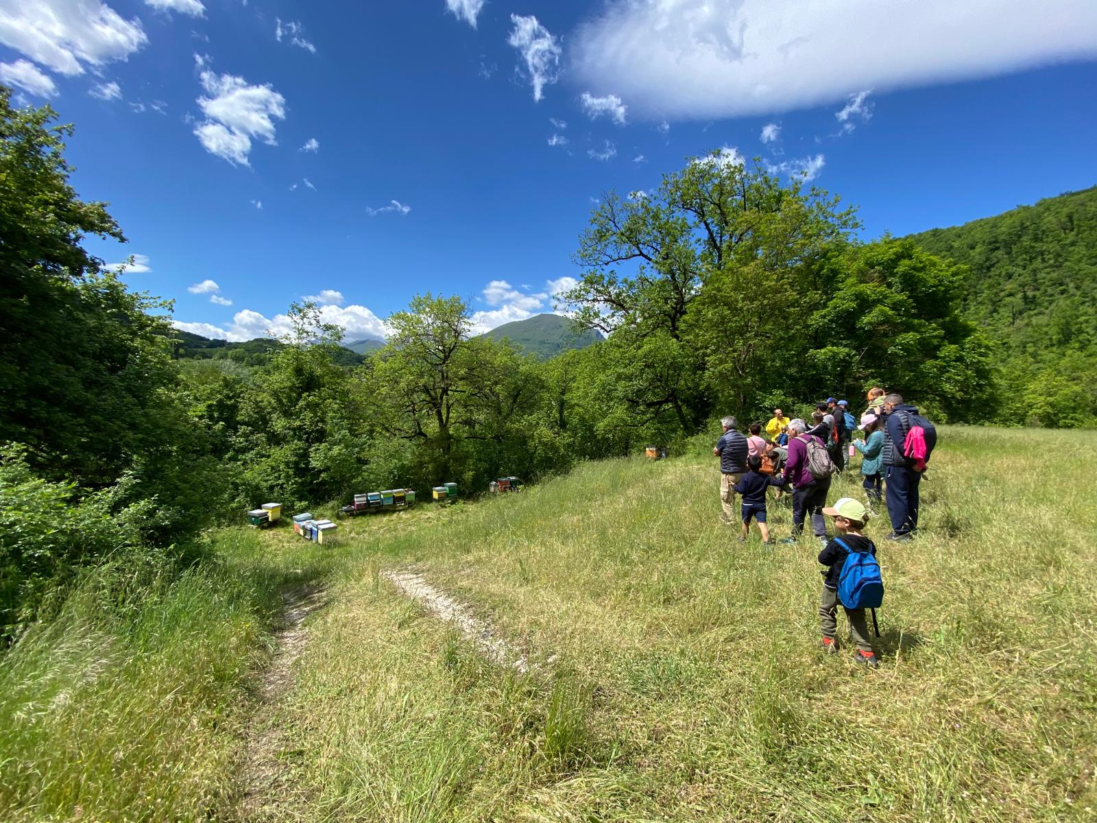 Partecipanti alla edizione 2025 di Mielerie Aperte
